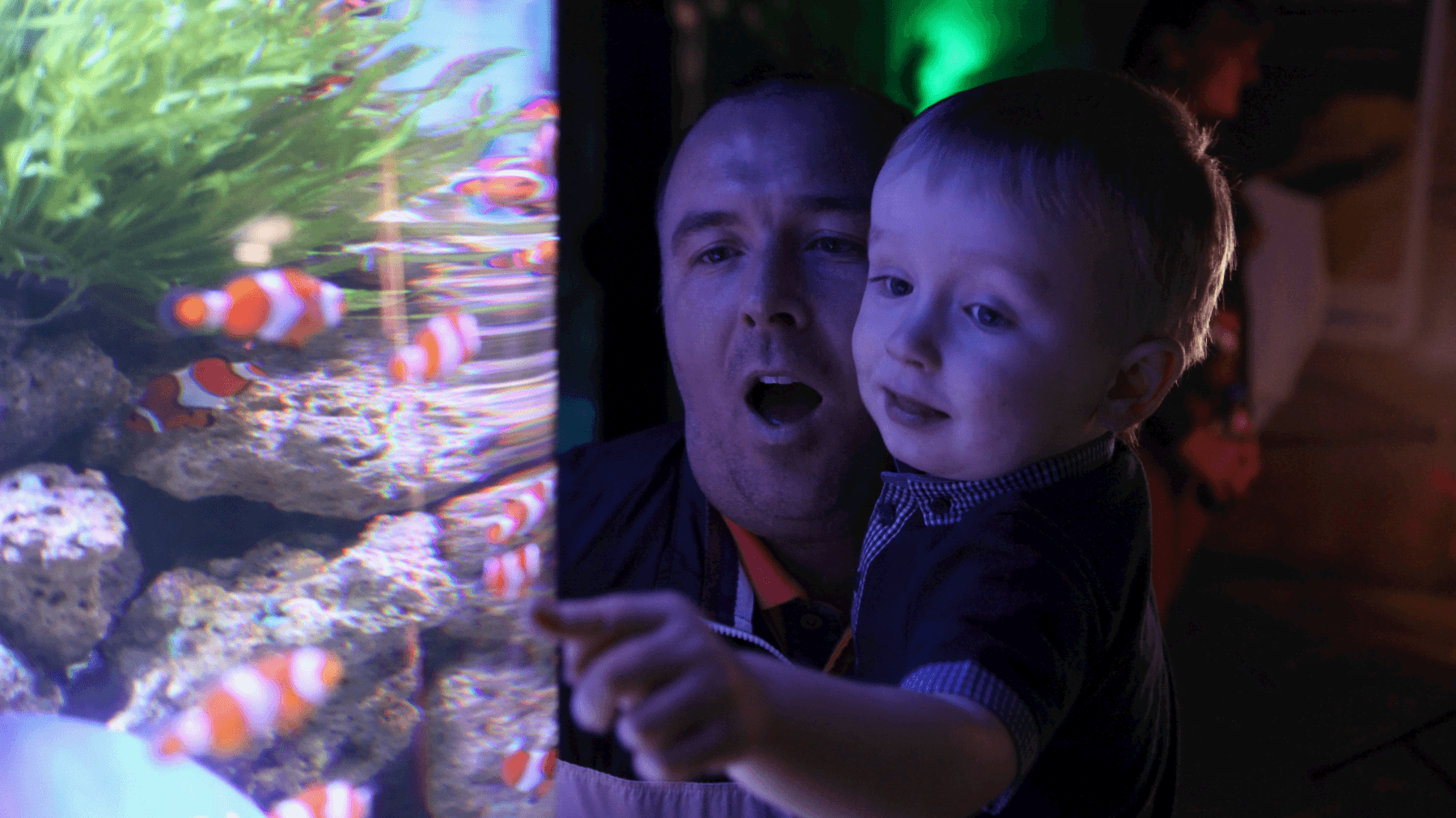 SEA LIFE Blackpool - Photo