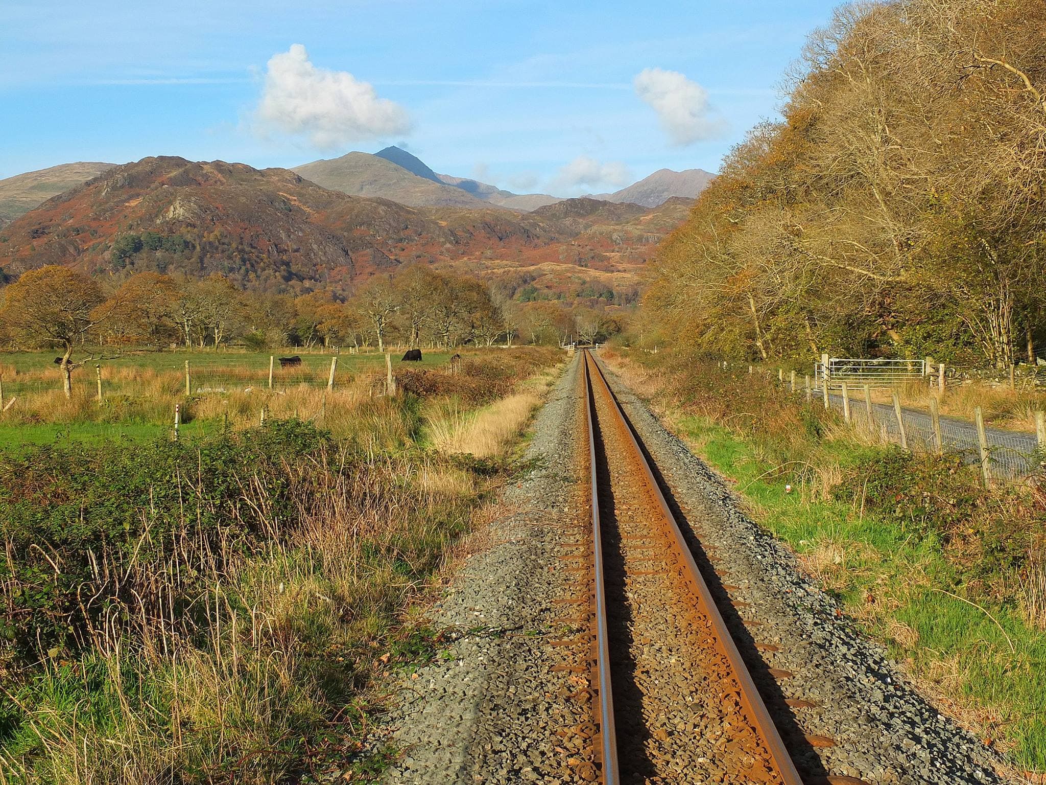 Ffestiniog & Welsh Highland Railway