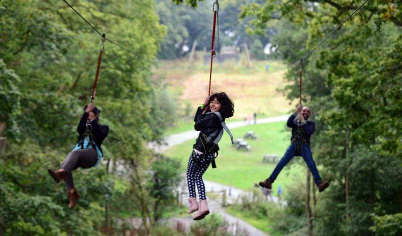 Treetop Trek Windermere