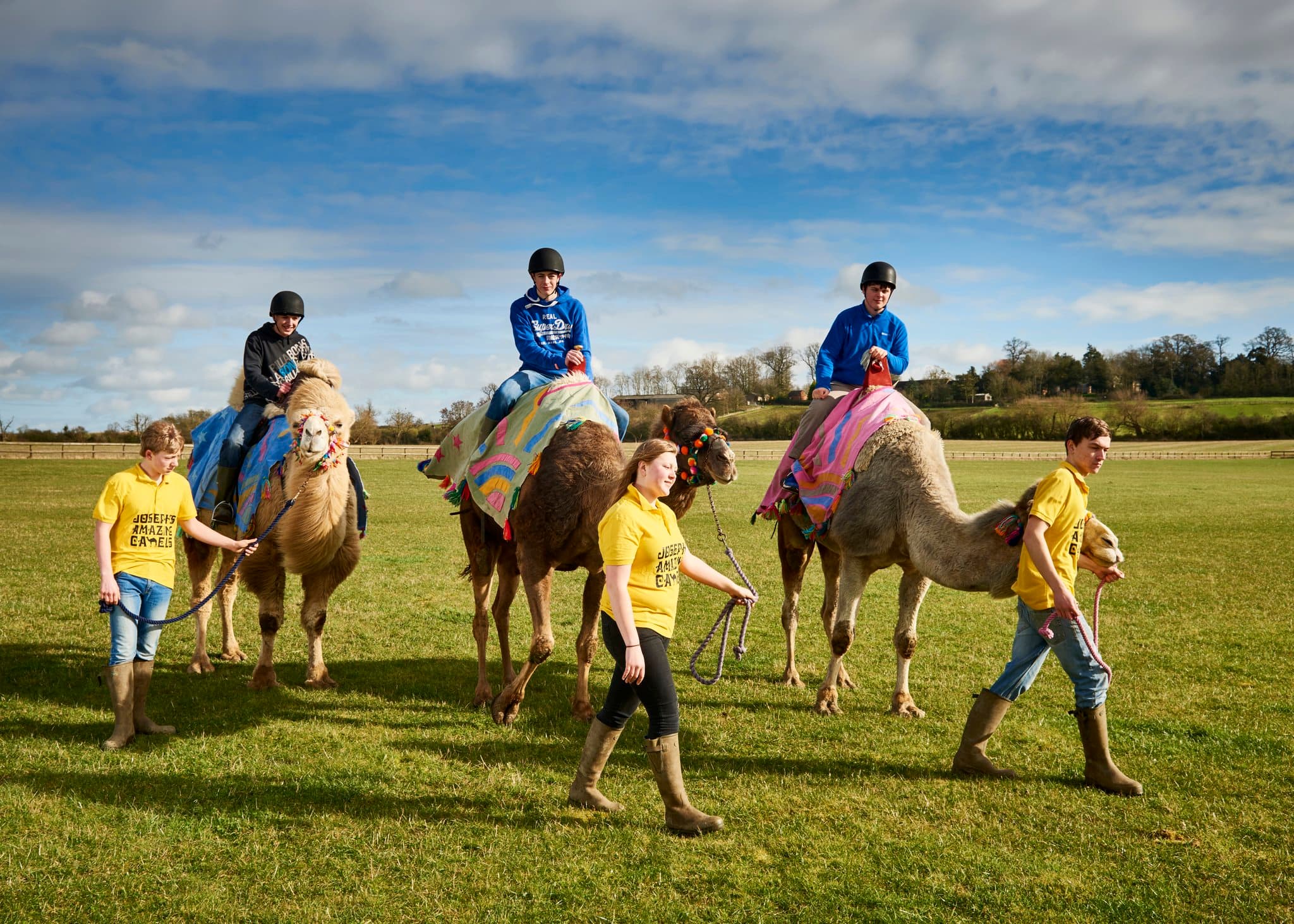 Josephs Amazing Camels - Photo