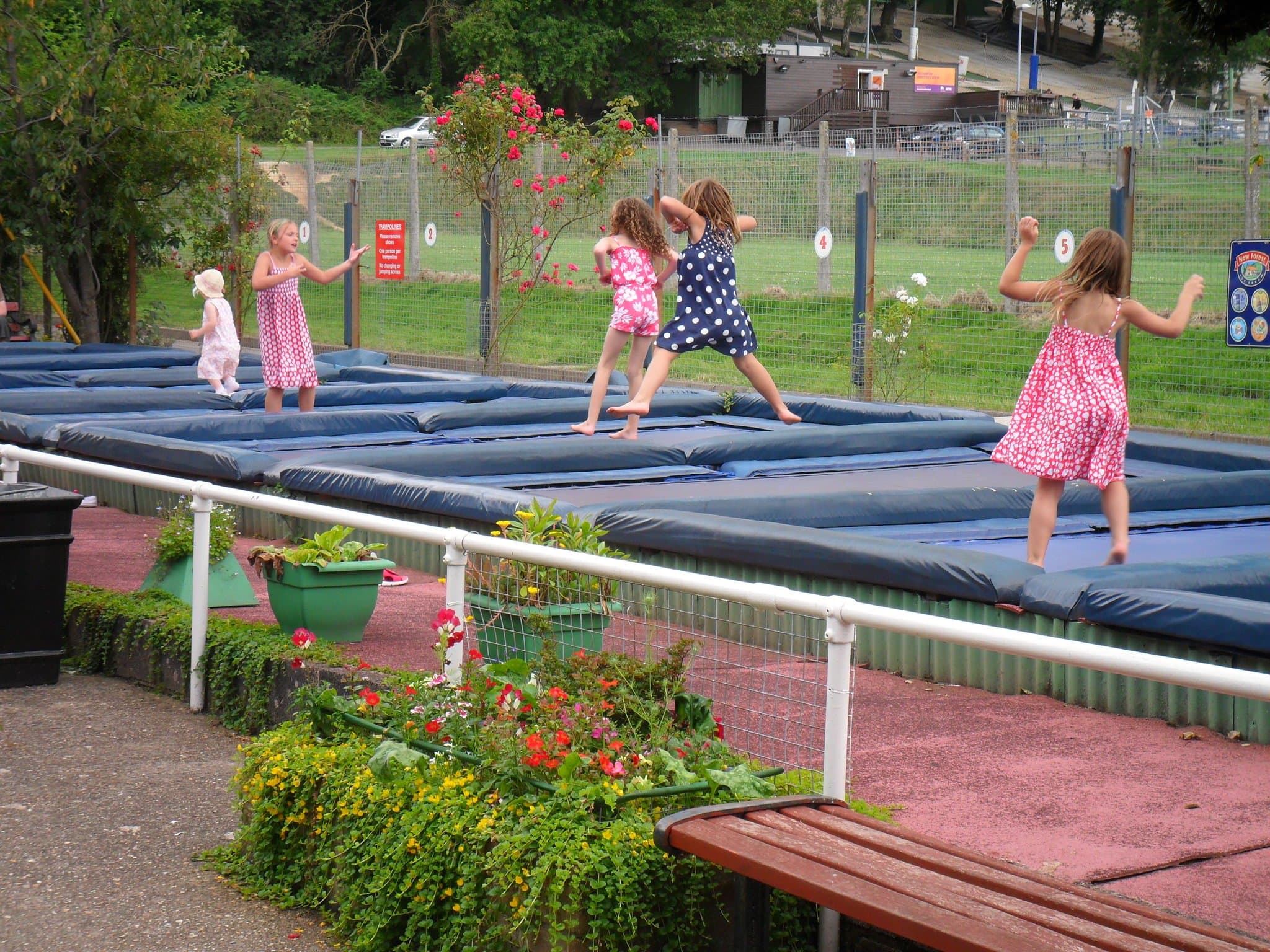 The Pleasure Park - Photo