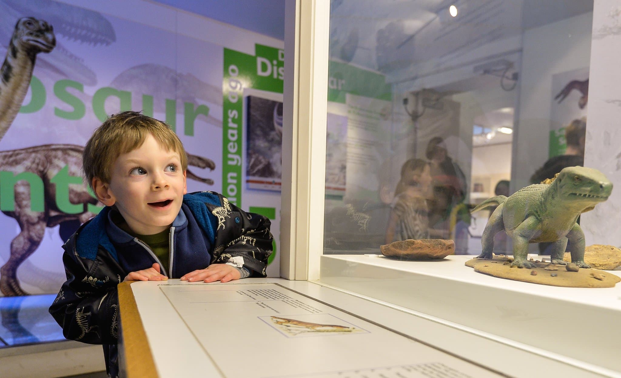 Yorkshire Museum - Photo 1