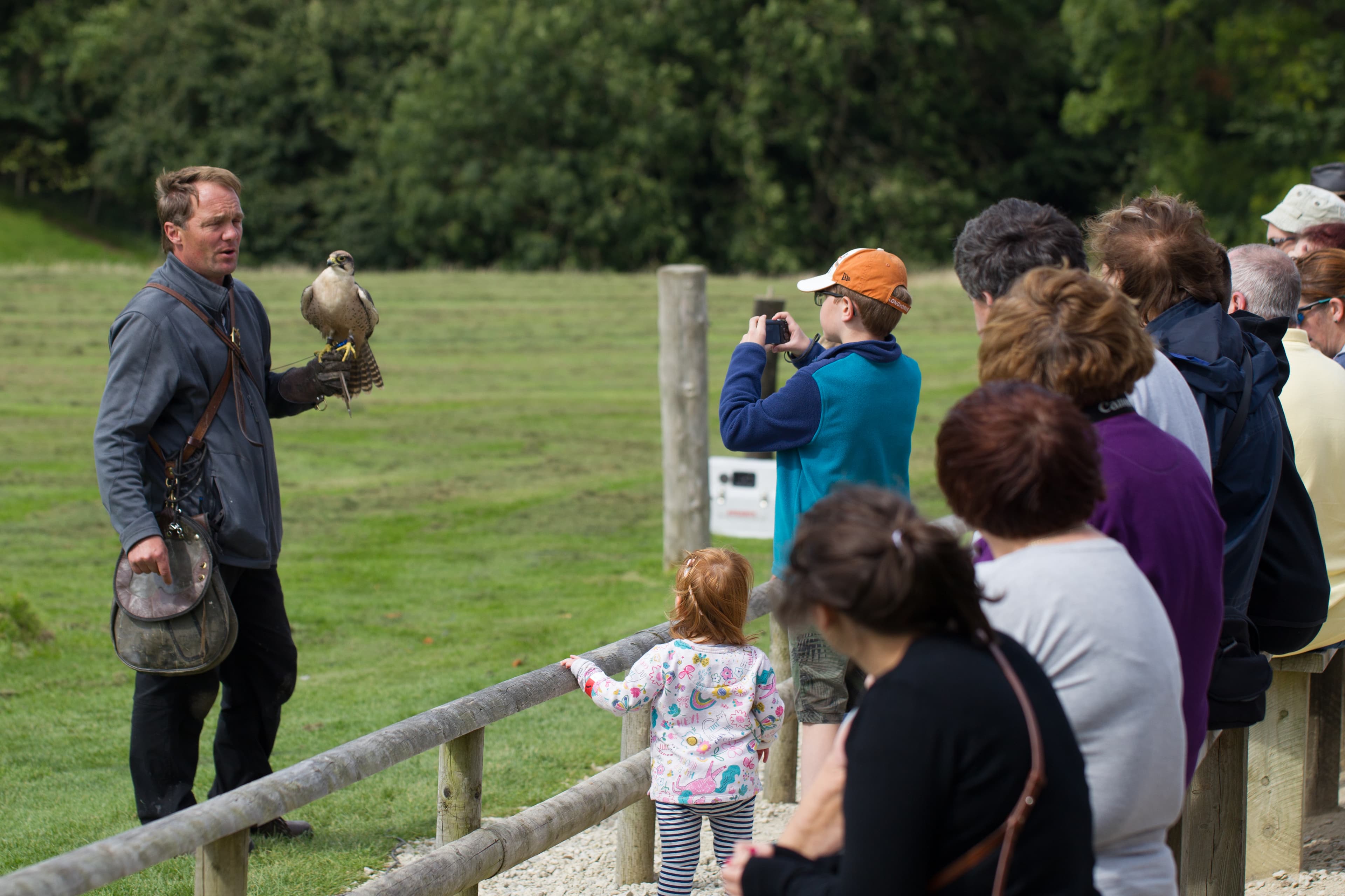 National Centre for Birds of Prey