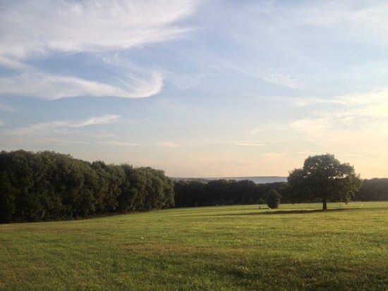 Graves Park