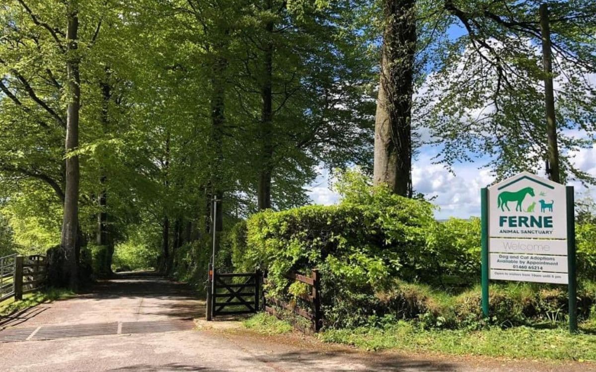 Ferne Animal Sanctuary