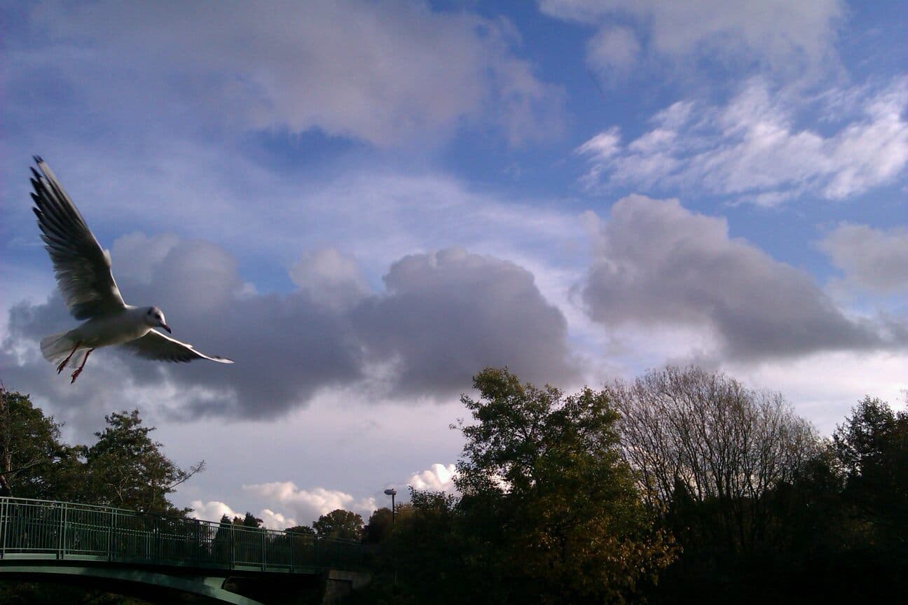St Nicholas Park