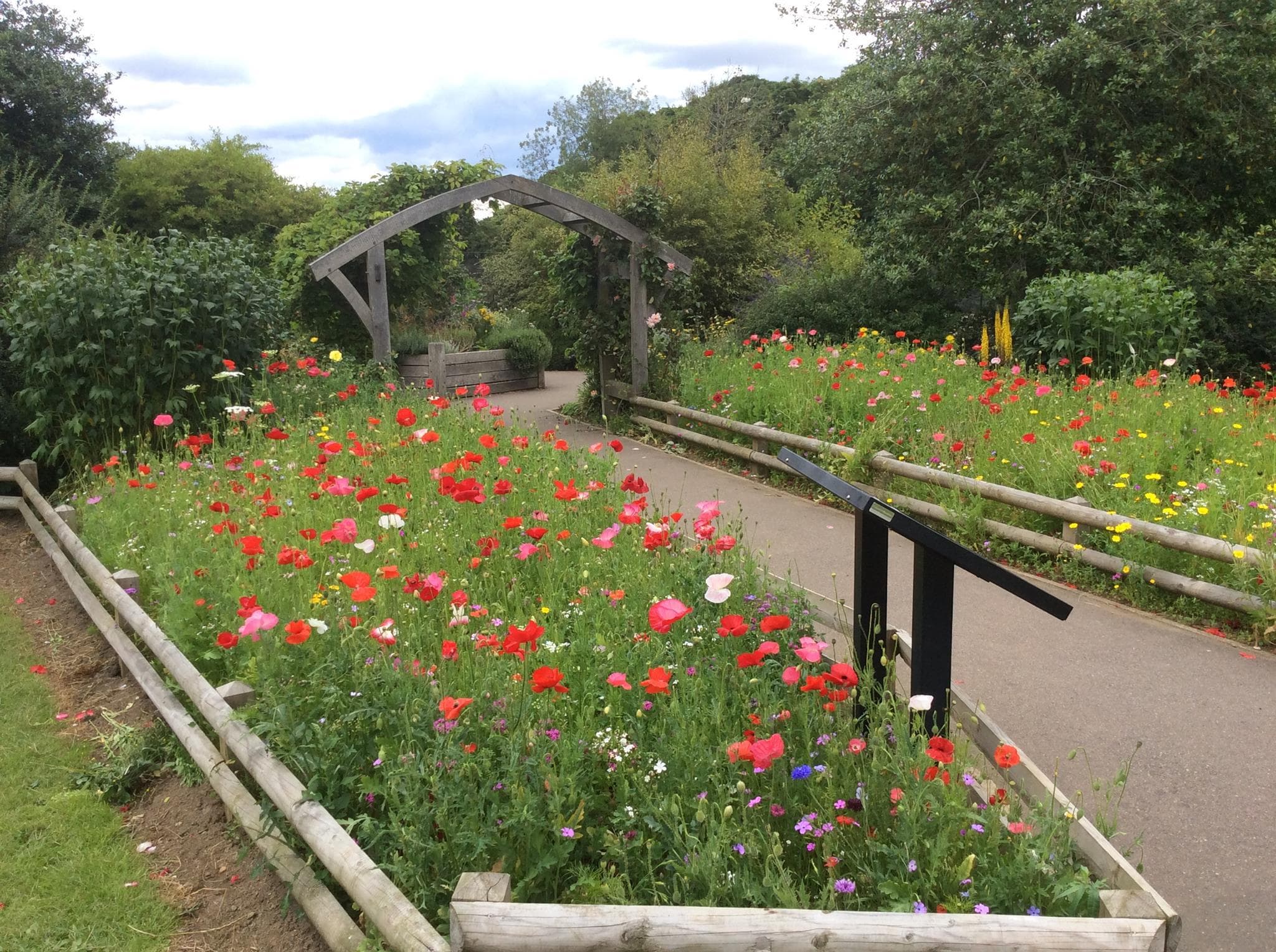 Millhouses Park - Photo