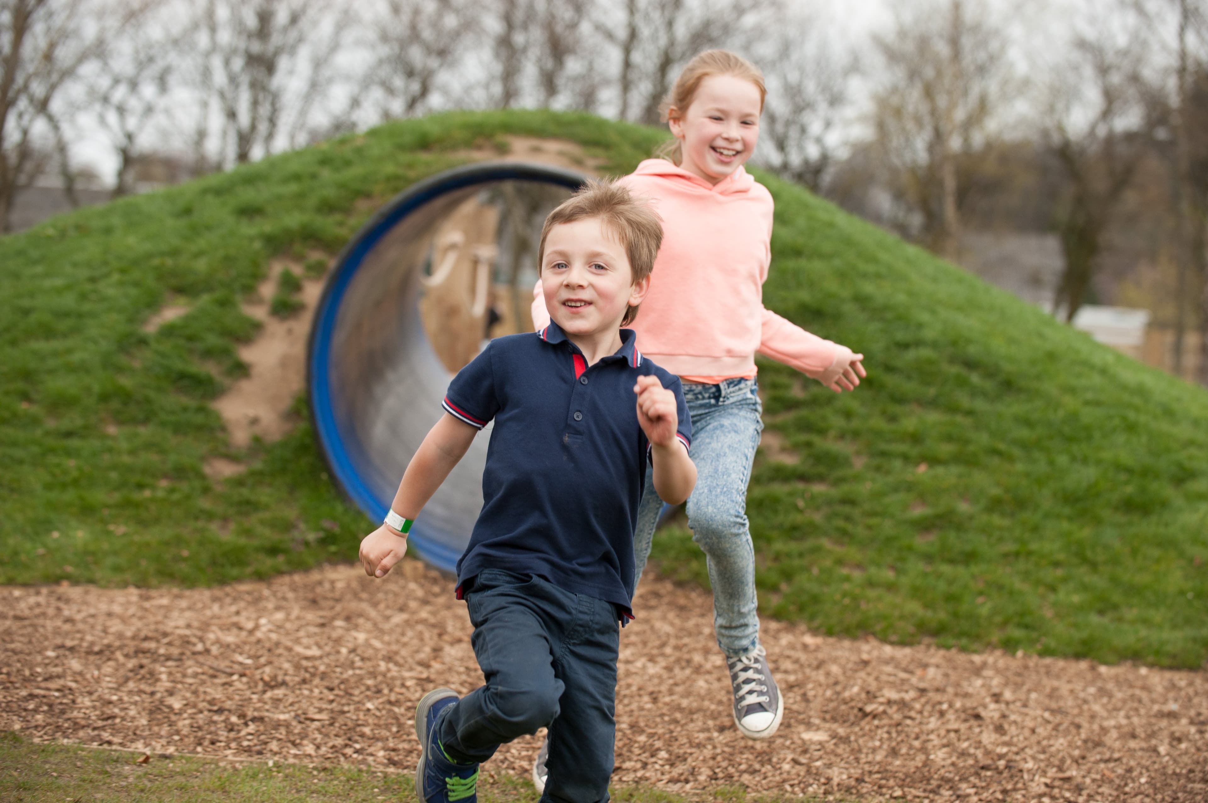 Conifox Adventure Park