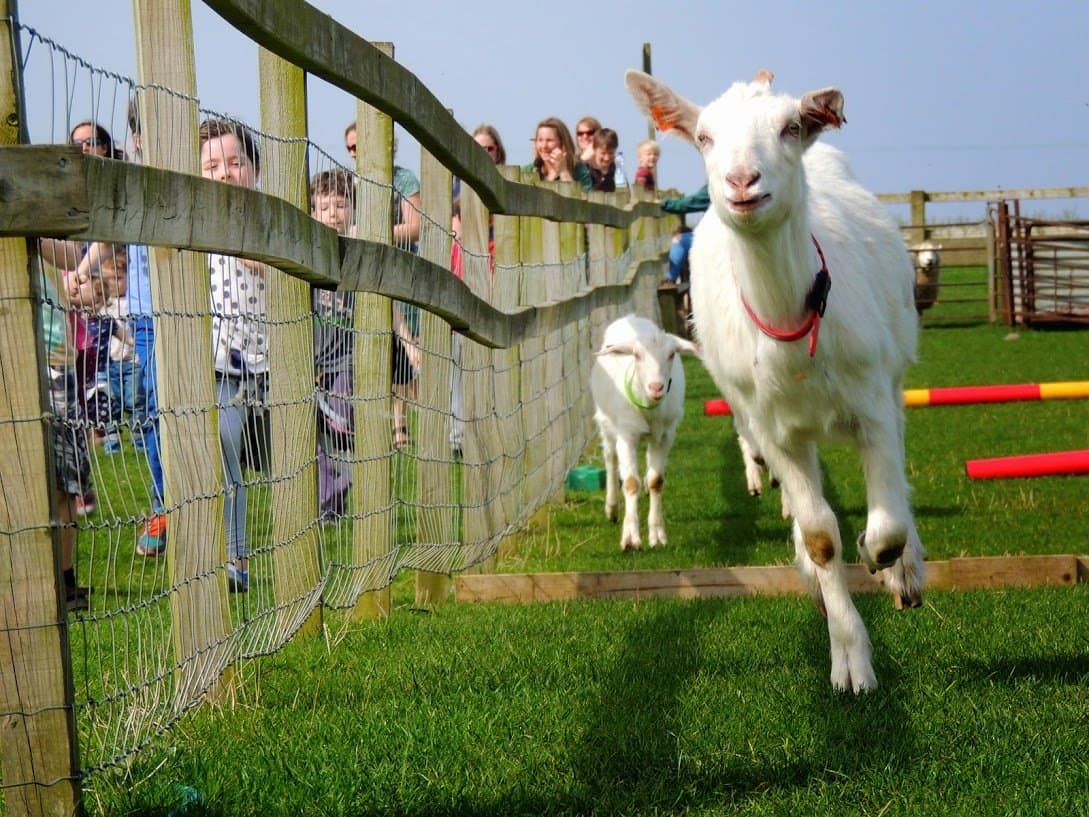 Roves Farm Visitor Centre