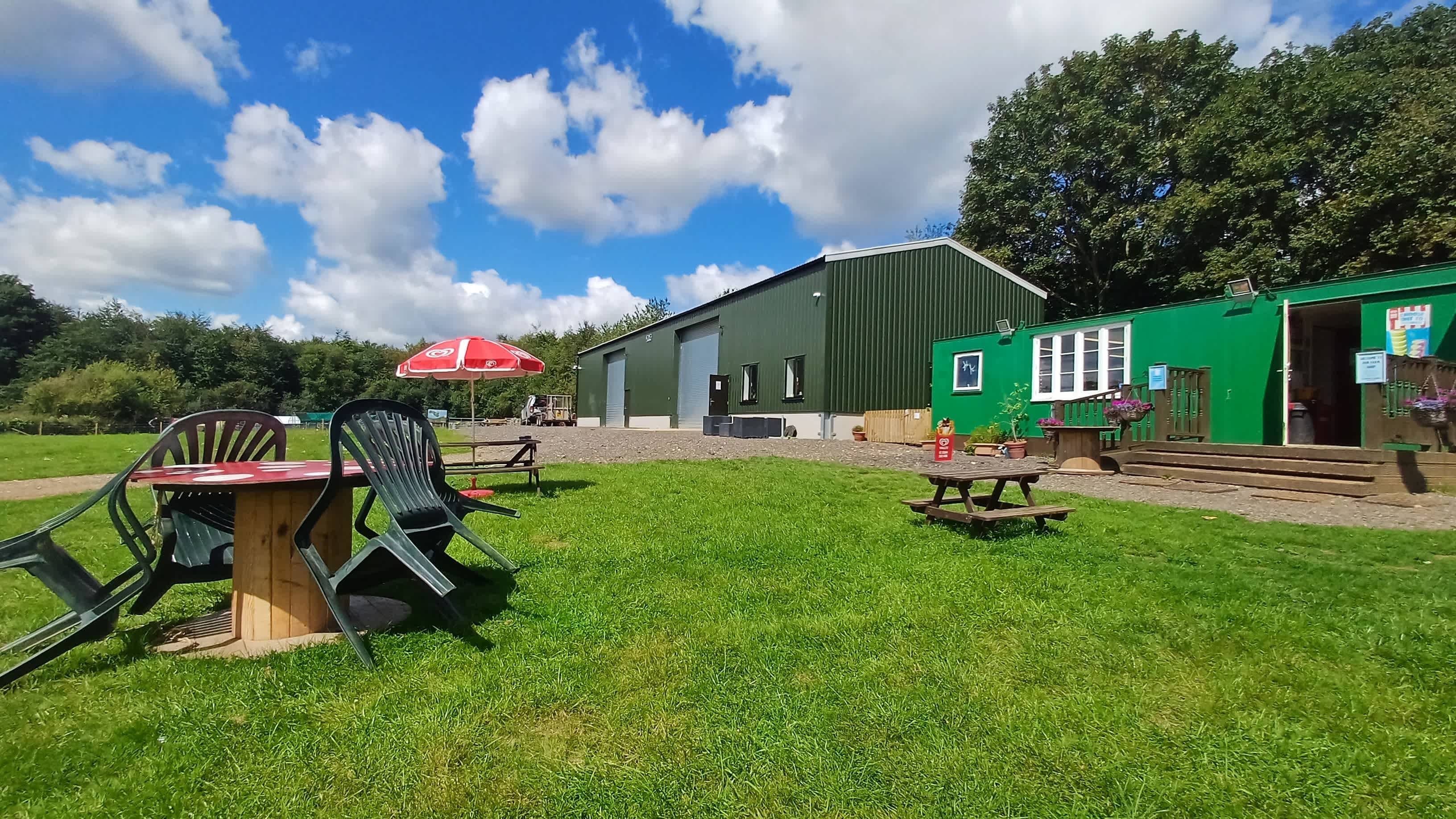 Pig Enthusiast Course at Kew Little Pigs Farm - Photo