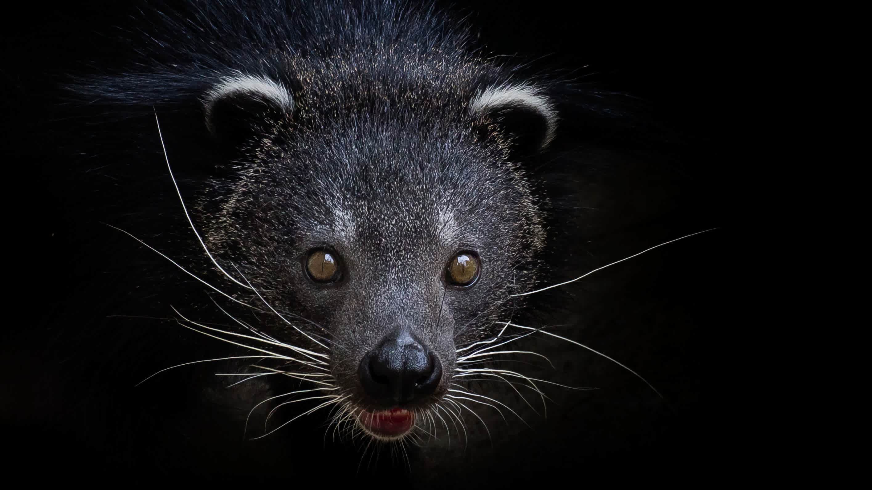 Shaldon Zoo - Photo