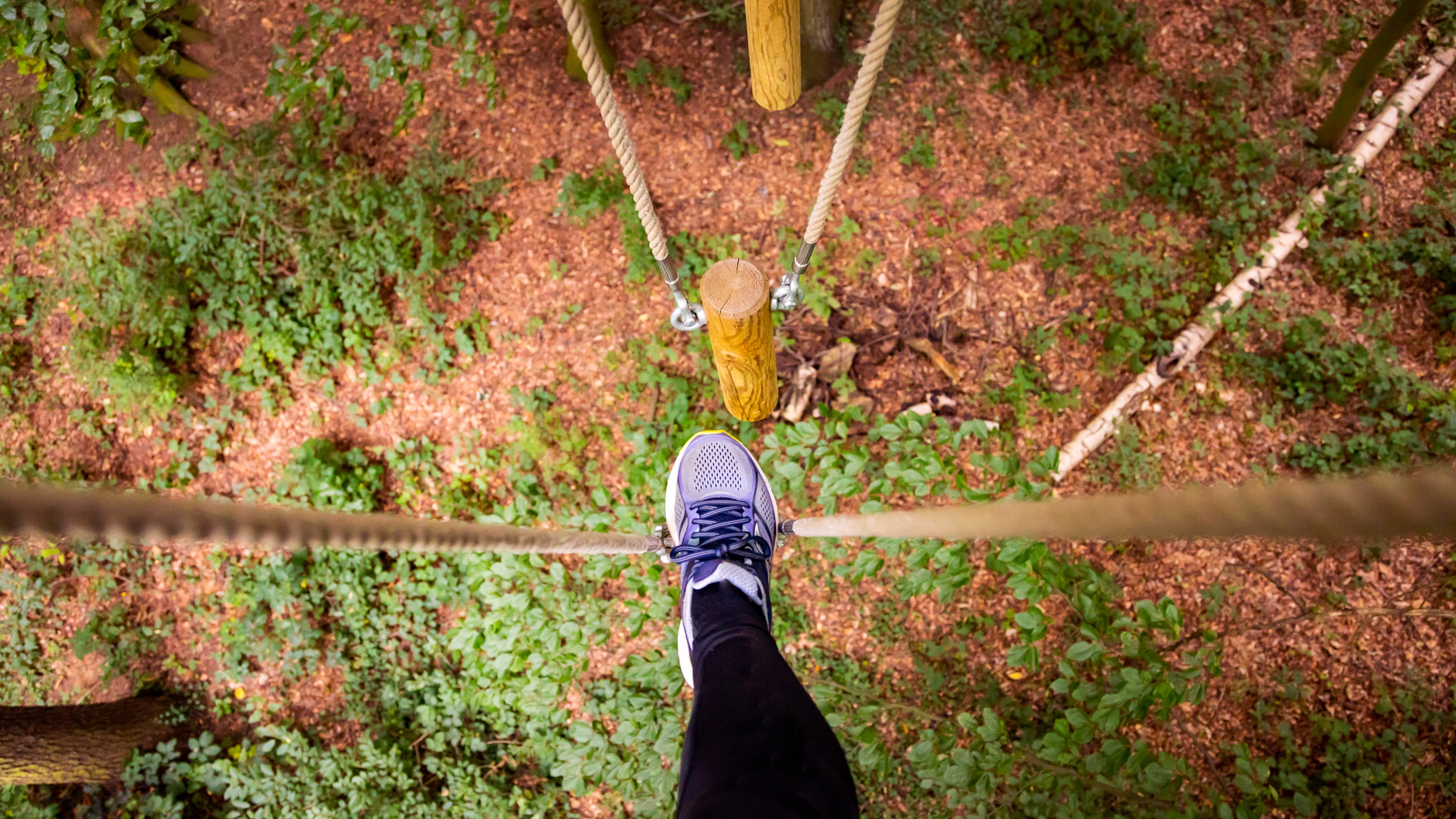 Go Ape Bedgebury - Photo