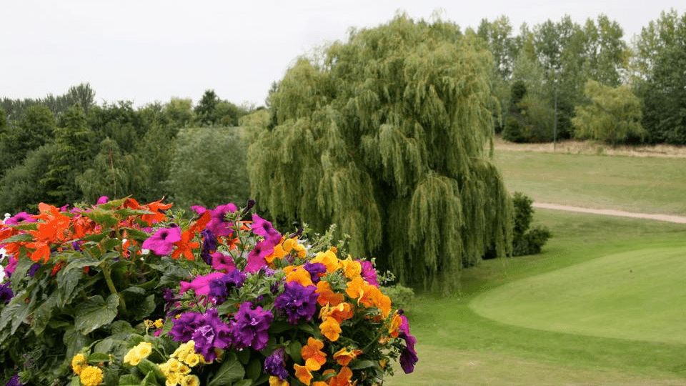 Upchurch River Valley Golf