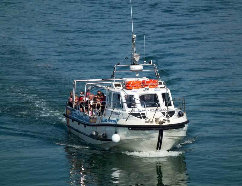 Puffin Island Pleasure Cruise