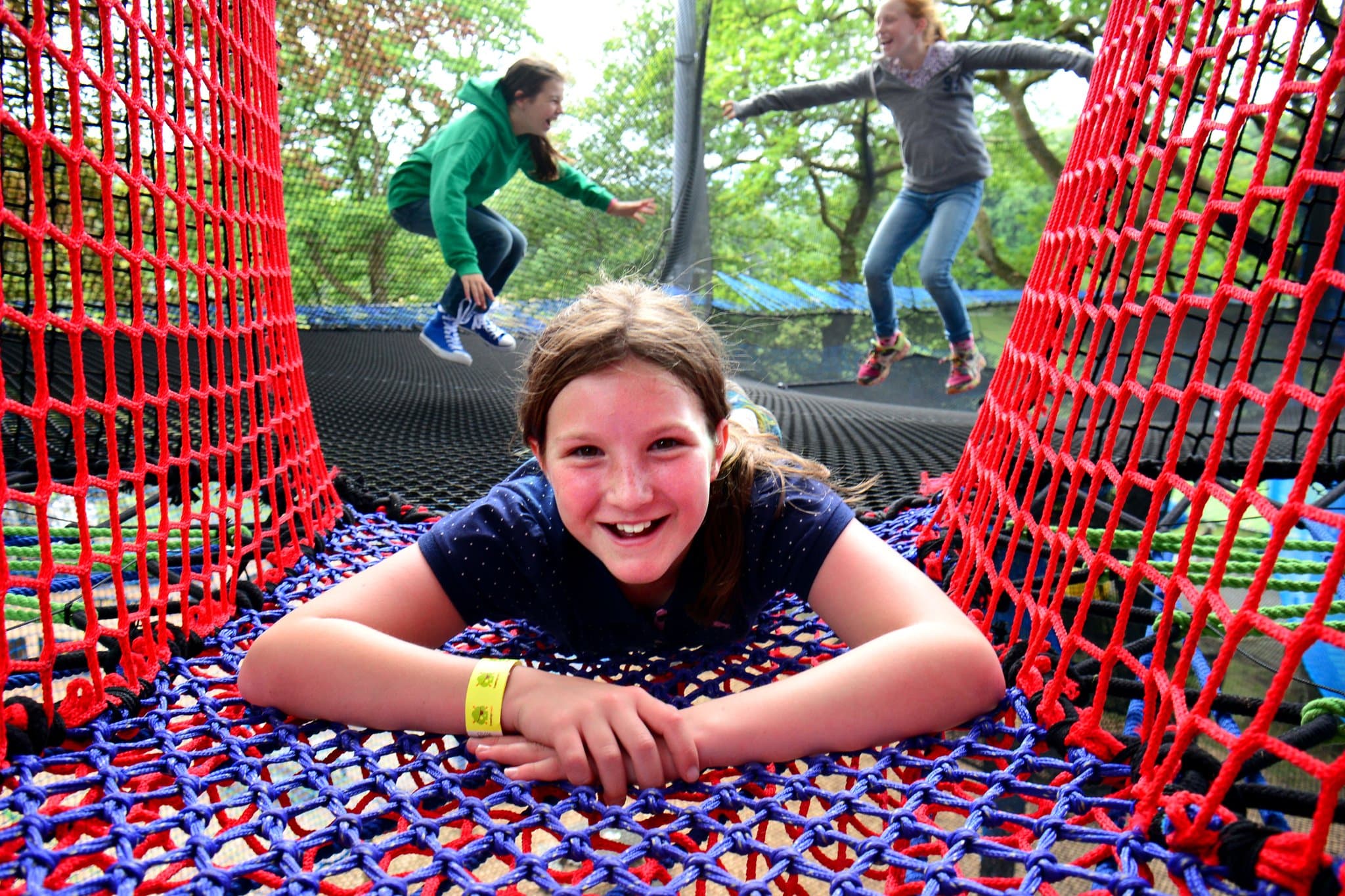 Treetop Nets - Photo 1