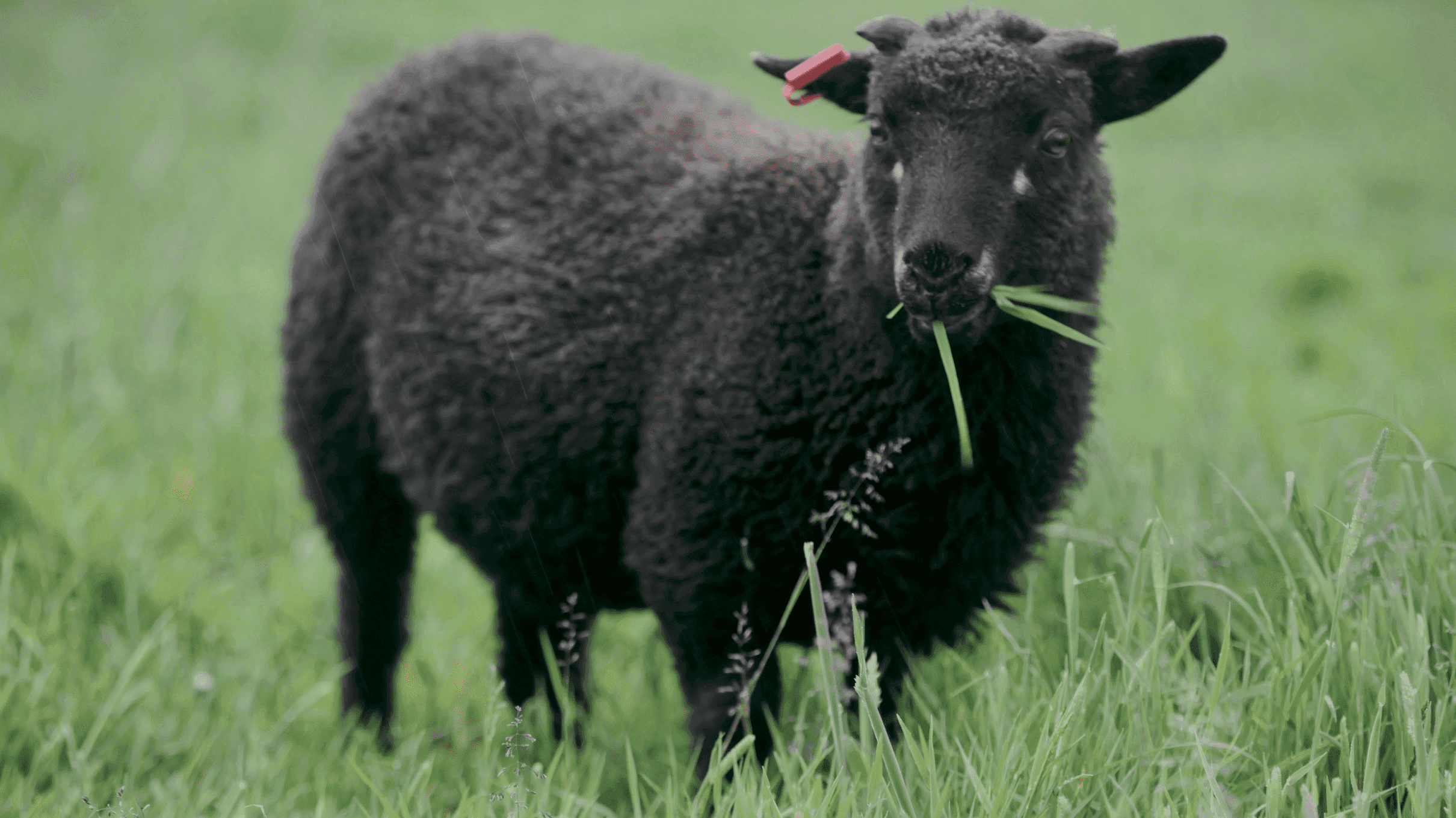 Nunny's Farm - Photo 1