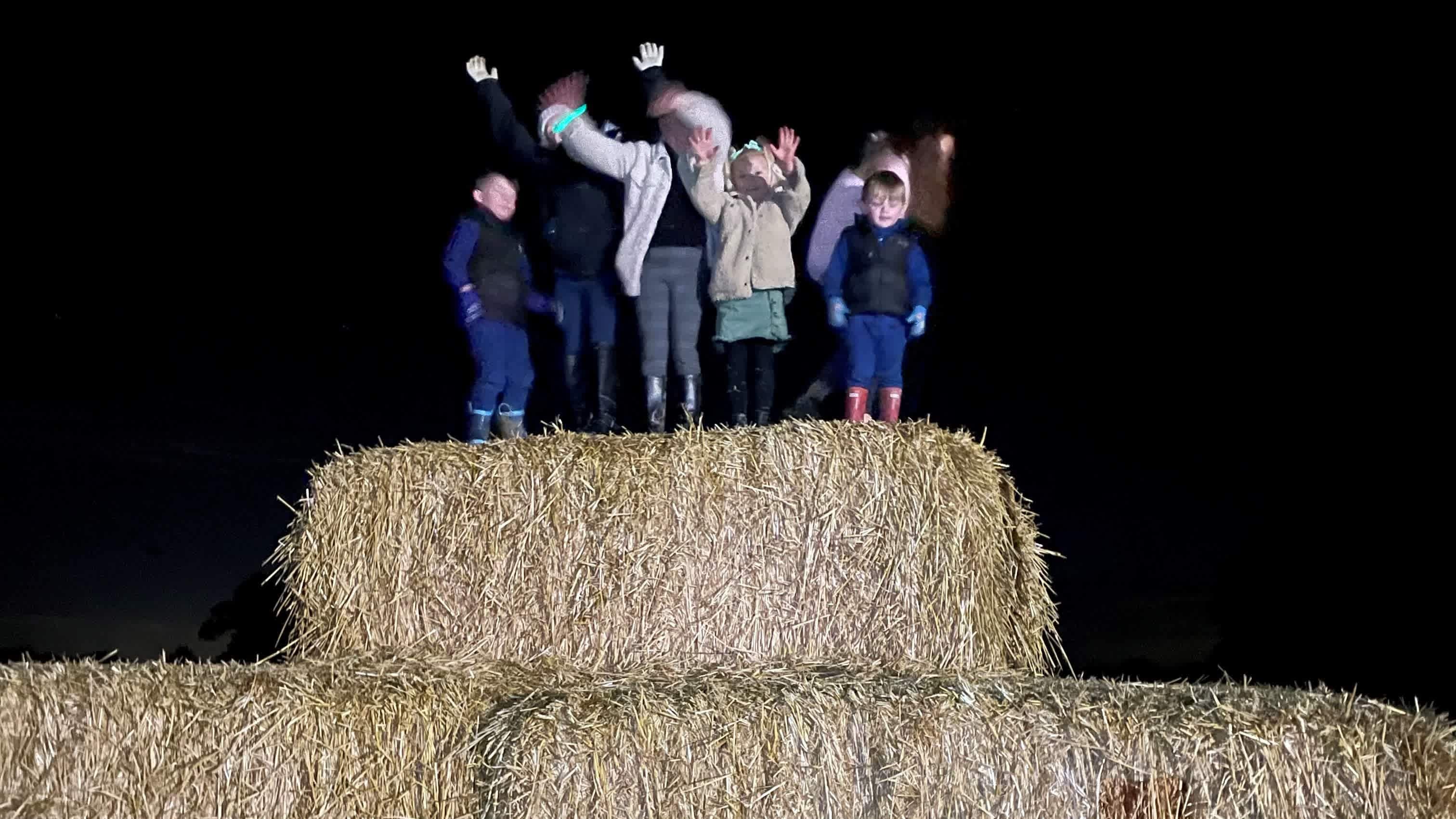 The Pumpkin Patch Nights Colchester - Photo