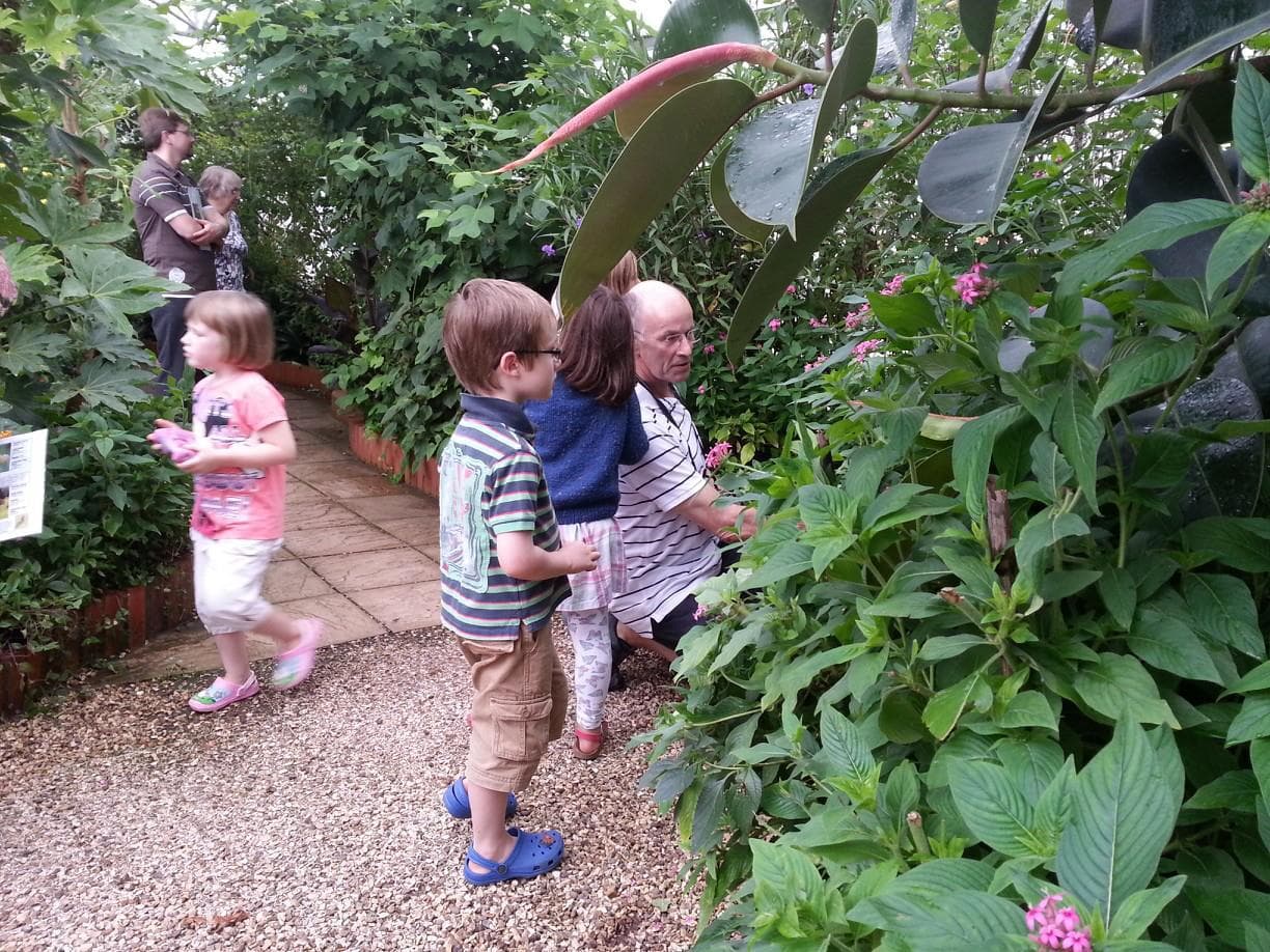 Wye Valley Butterfly Zoo - Photo
