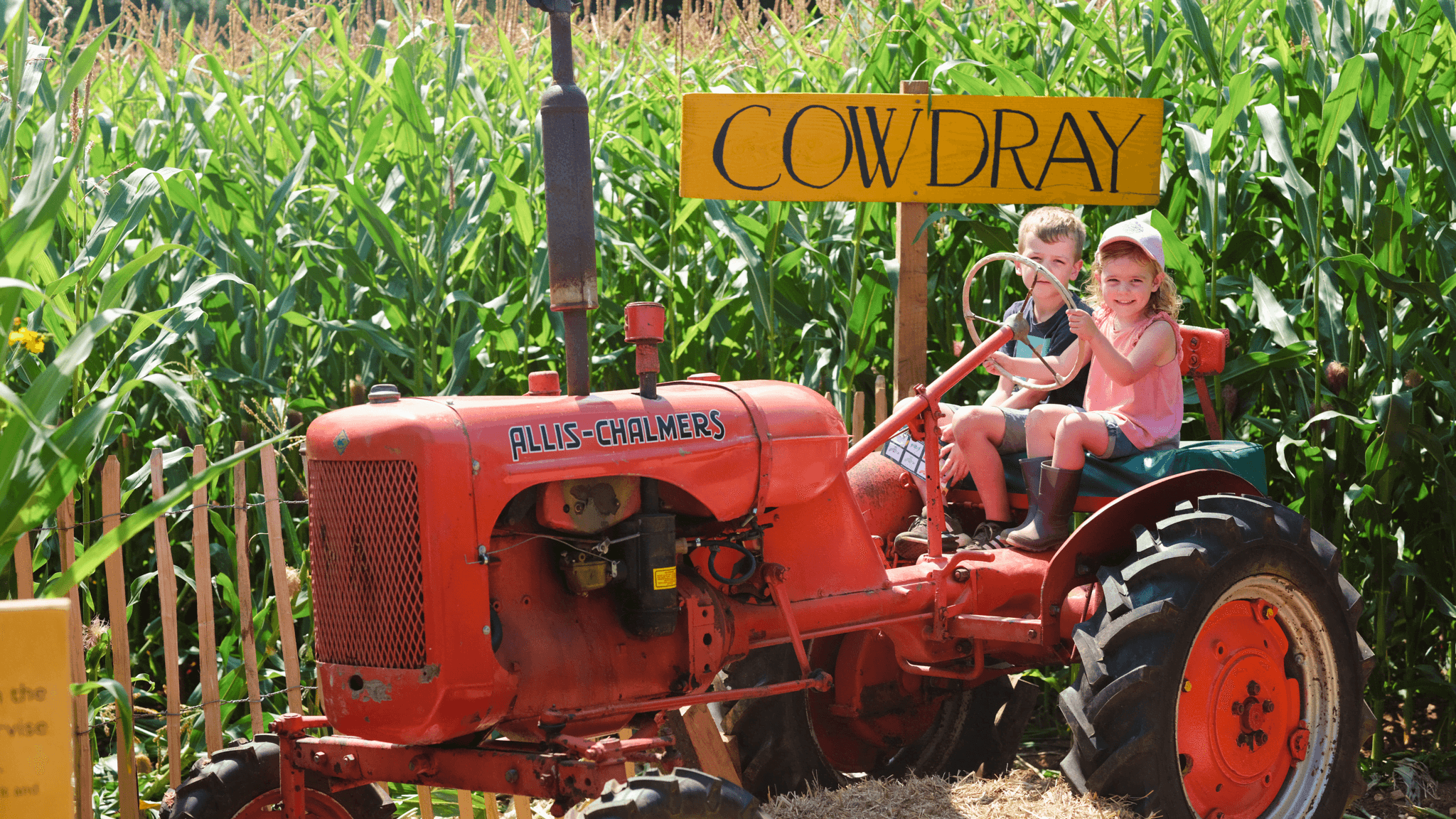 Cowdray's Maize Maze - Photo