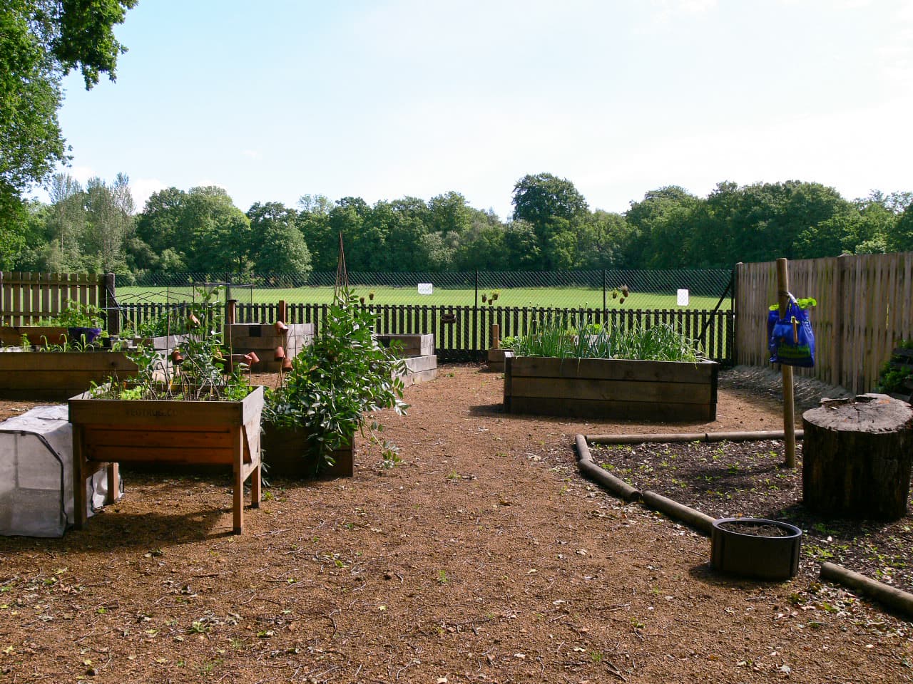 Frimley Lodge Park and Miniature Railway - Photo