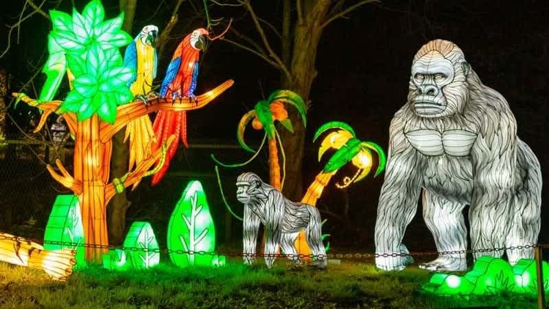 Land of Lights Warrington