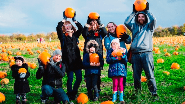 Pumpkin Picking at National Forest Adventure Farm - Photo 1