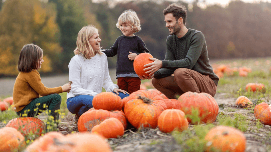Dorset Country Pumpkins - Photo 1