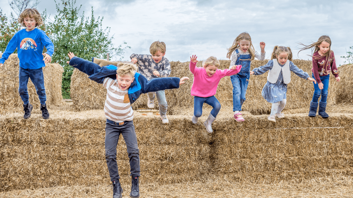 Occombe Farm - Photo 1