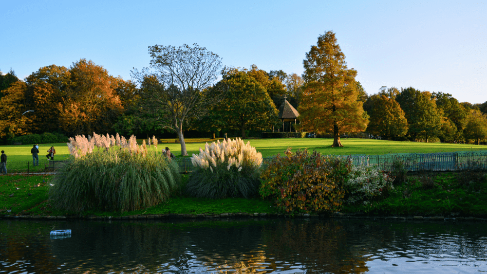 Golders Hill Park - Photo