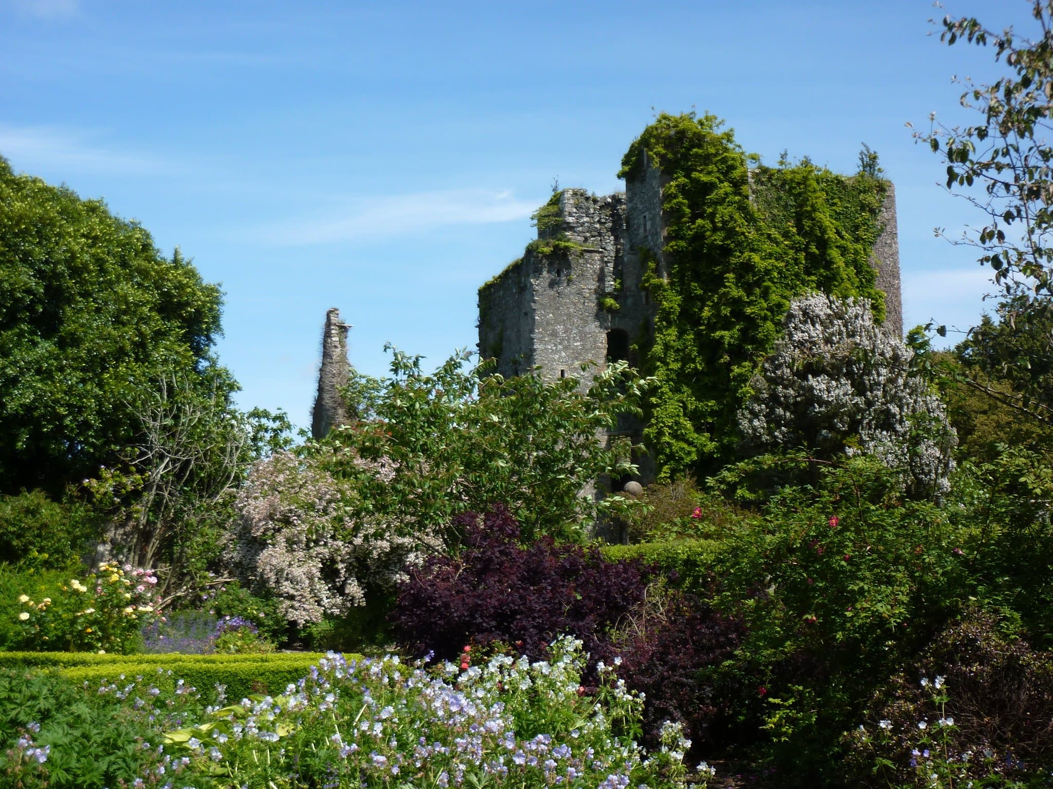 Castle Kennedy Gardens - Photo