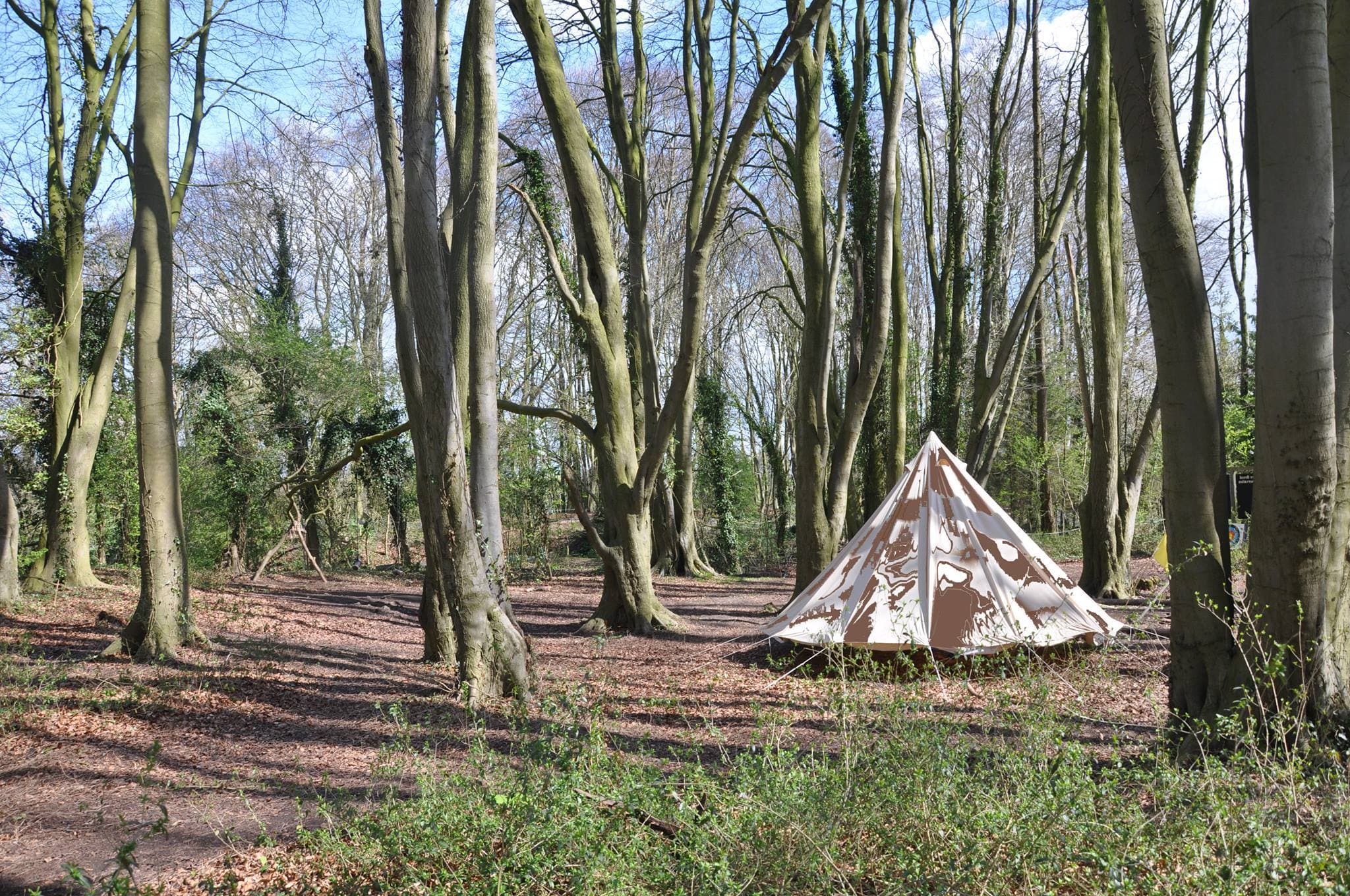 Woodland Adventurers