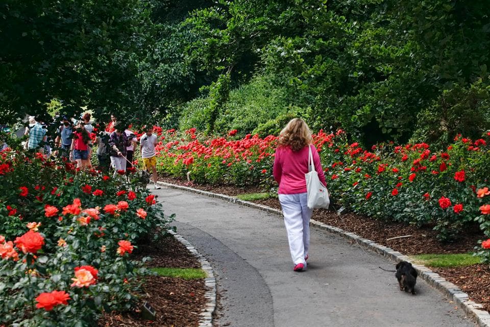 Sir Thomas and Lady Dixon Park - Photo 1