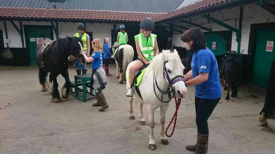 Wellsfield Equestrian Centre - Photo 1