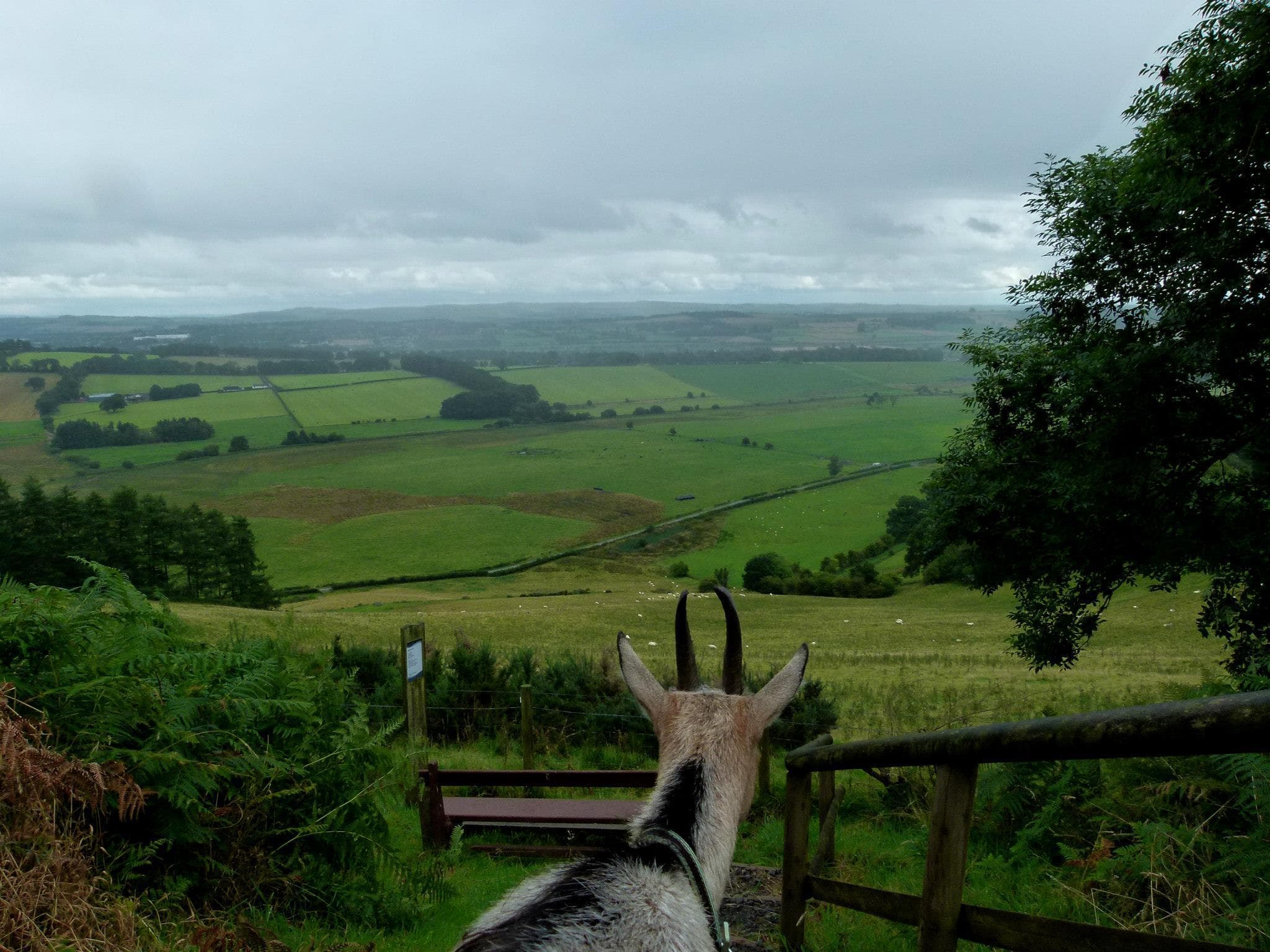 Mossburn Community Farm - Photo 1