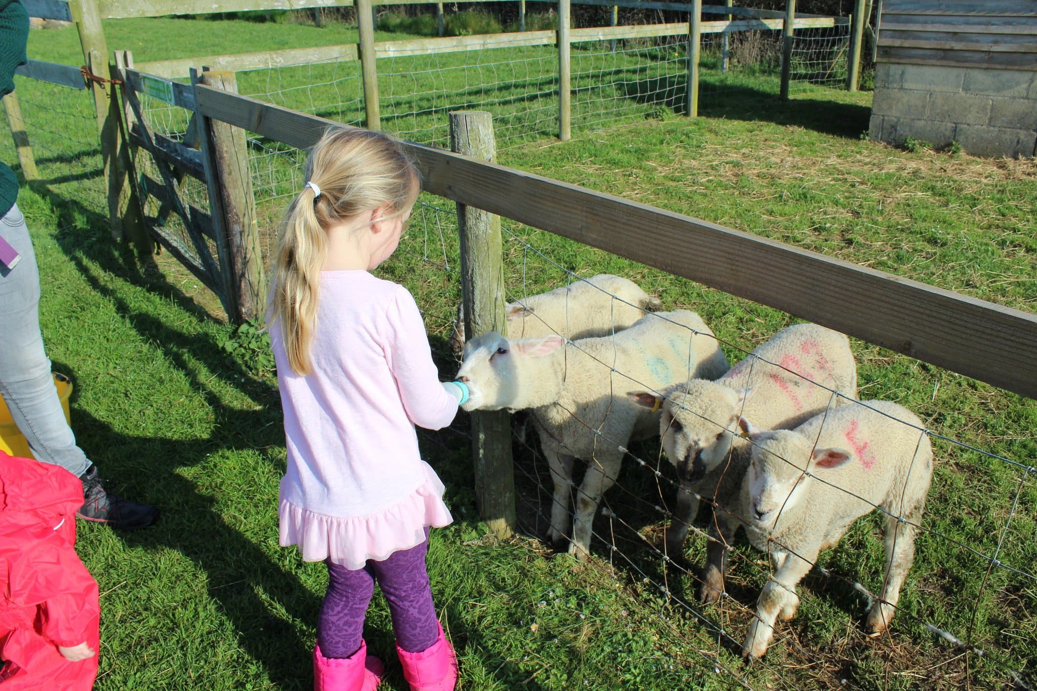 MacDonalds Farm