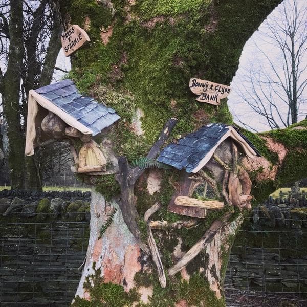 Loch Lomond Faerie Trail - Photo