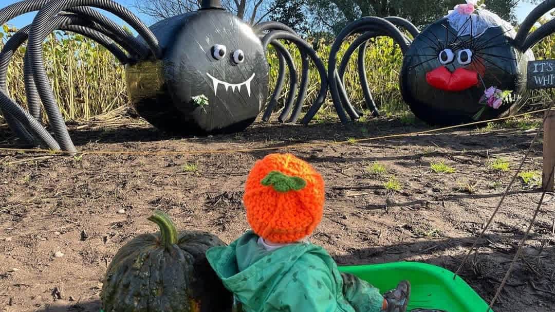 Lichfield Maize Maze - Photo