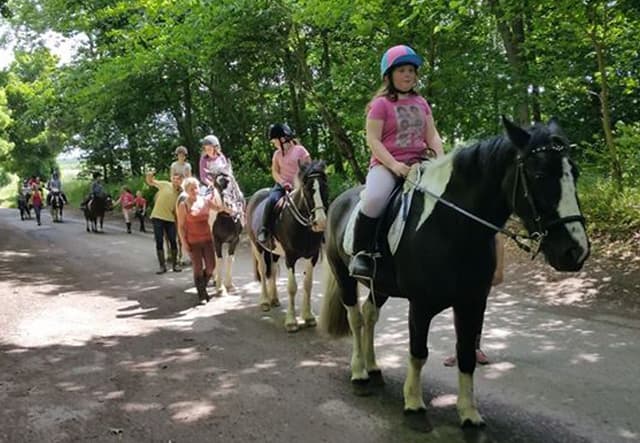 Woldgate Trekking and Livery Centre