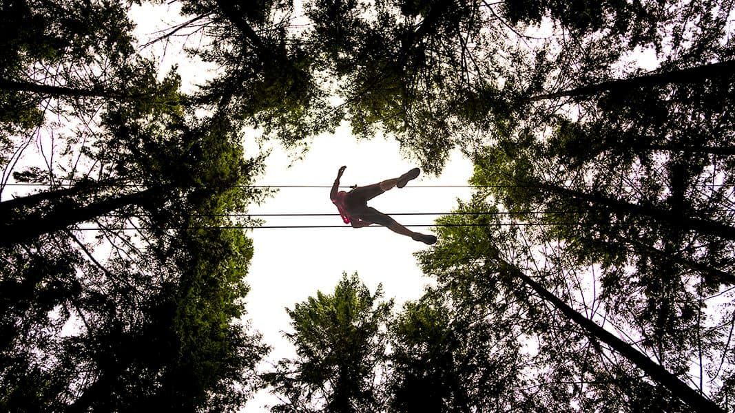 Go Ape Glentress Forest, Peebles