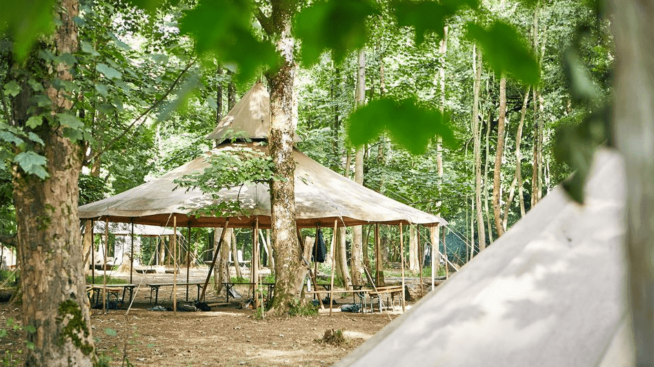 Camp Wilderness at Penshurst Place - Photo 1