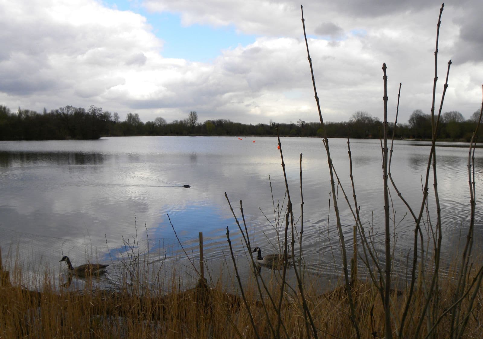 Rickmansworth Aquadrome Nature Reserve