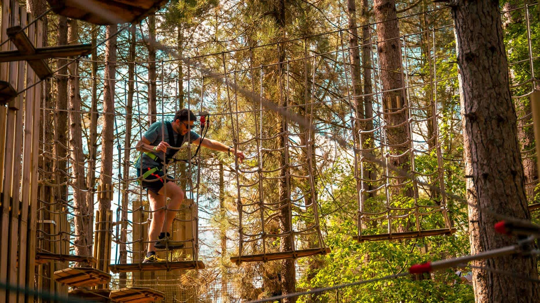 Go Ape Cannock - Photo
