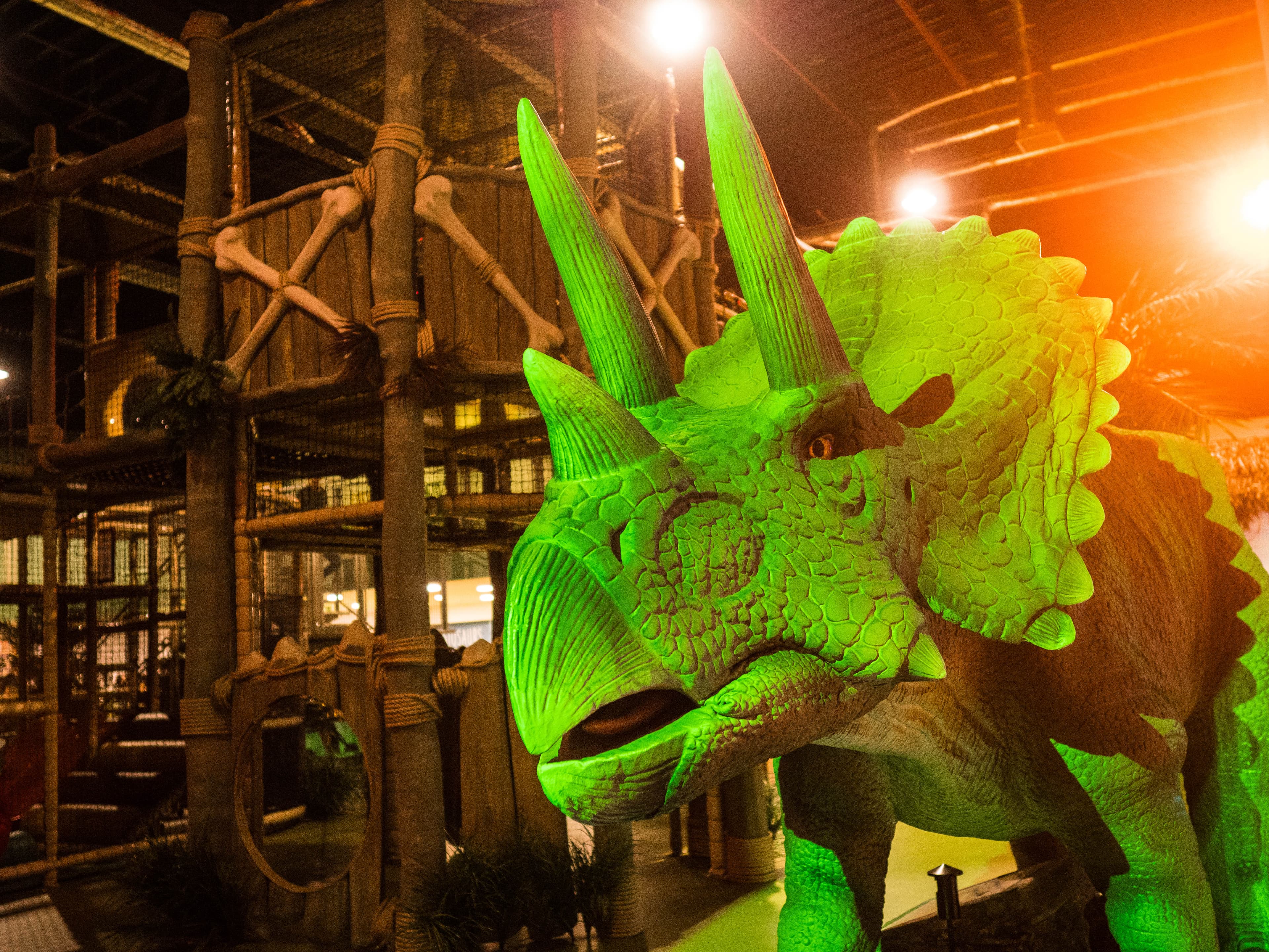 Dinotropolis - Photo