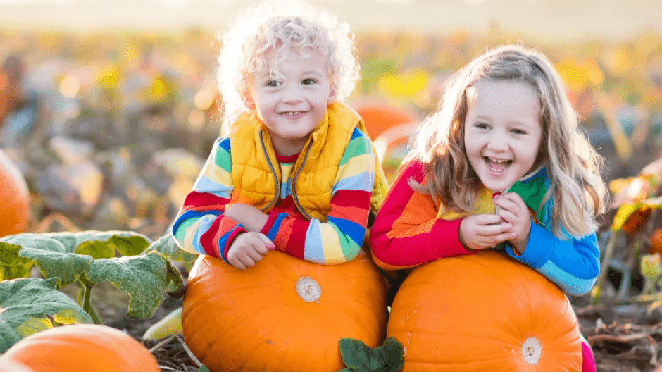 Pumpkin Picking at Spilmans - Photo