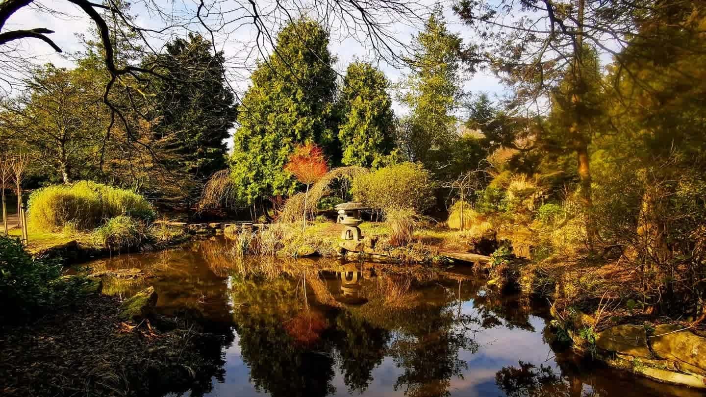 Newstead Abbey - Photo