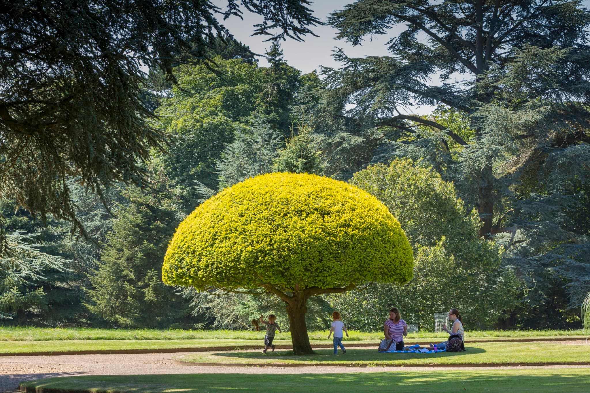 Waddesdon Manor - Photo