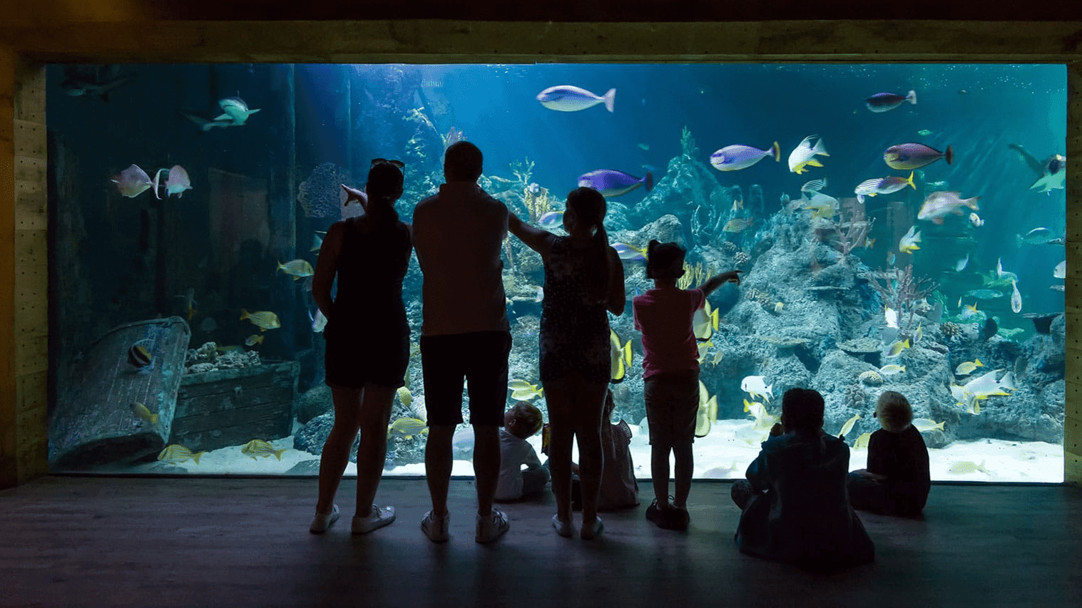 Skegness Aquarium - Photo