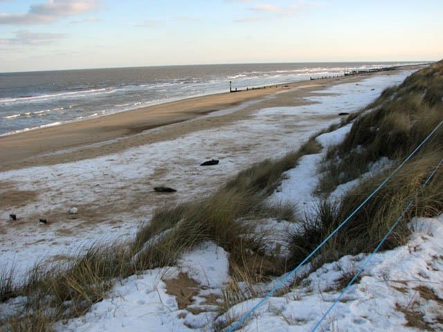 Horsey Beach