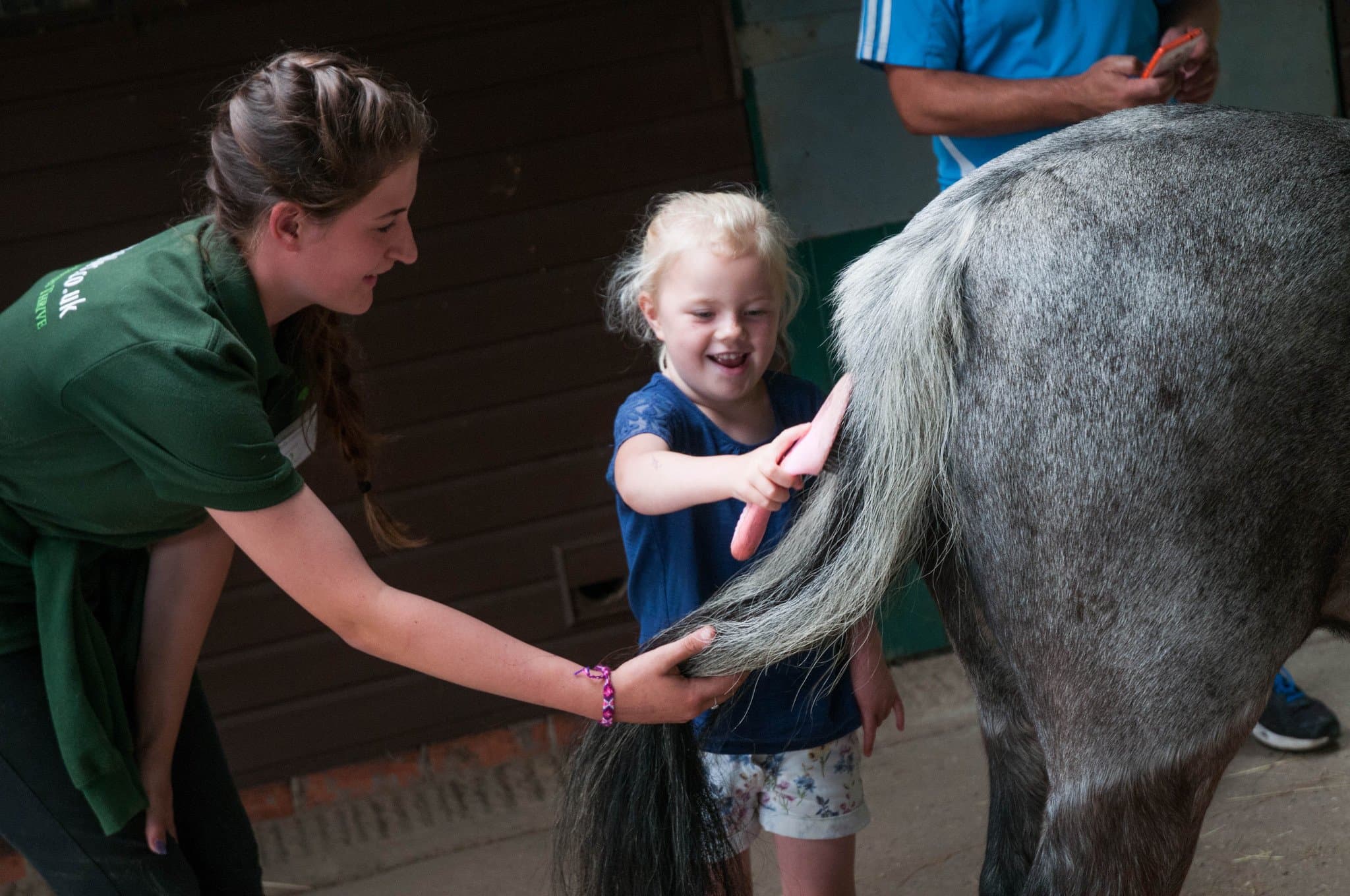 Lavant House Stables - Photo