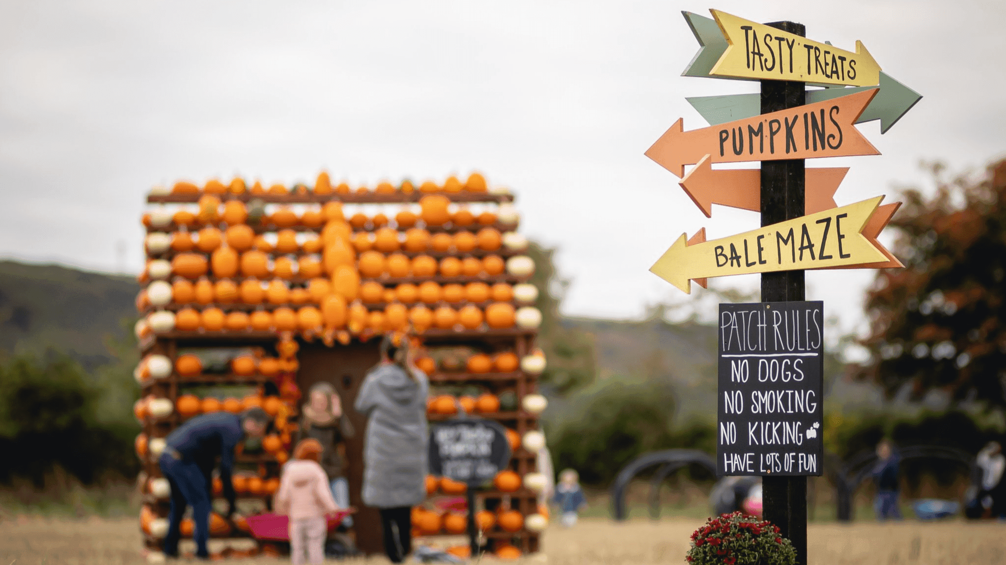 Kilduff Farm Pumpkin Festival 2023